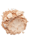 Instyle Loose Powder103